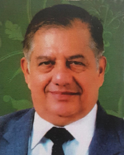 Inna Ramamohan Rao